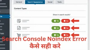 Search Console Noindex Error